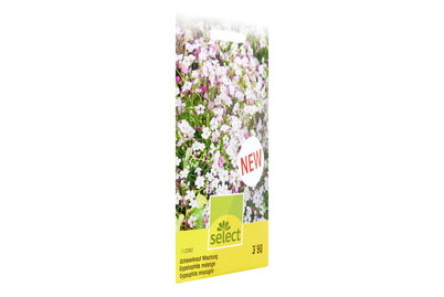 Image of Select Schleierkraut Mischung bei JUMBO