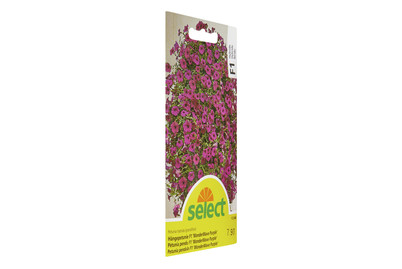 Image of Select Hängepetunie F1 Wonderwave Purple bei JUMBO