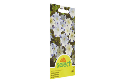 Image of Select Hainblume 5 Spot bei JUMBO