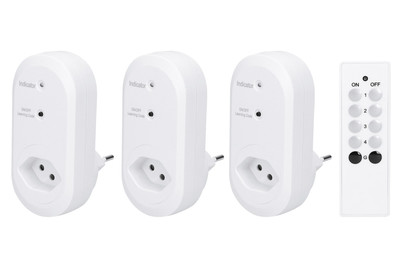 Image of Max Hauri AG Funksteckdosen Set T13 mit Fernbedienung bei JUMBO