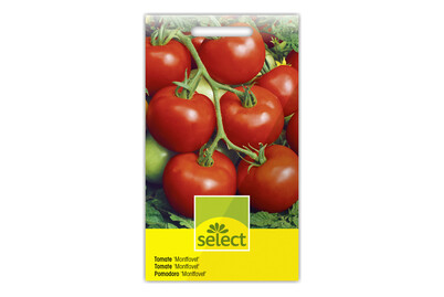 Image of Select Tomate