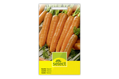 Image of Select Karotte bei JUMBO