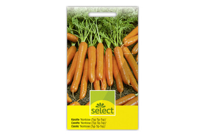 Image of Select Karotte Nantaise Tip-Top bei JUMBO