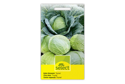 Image of Select Kabis-Weisskohl Thurner bei JUMBO