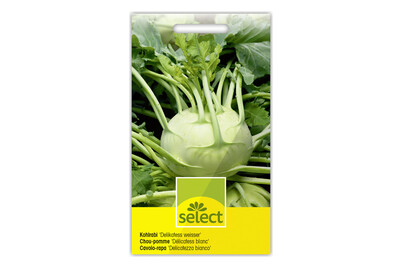 Image of Select Kohlrabi bei JUMBO