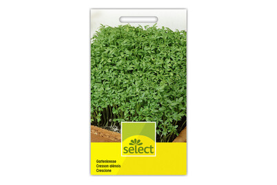 Image of Select Gartenkresse bei JUMBO