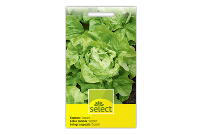 Image of Select Kopfsalat bei JUMBO