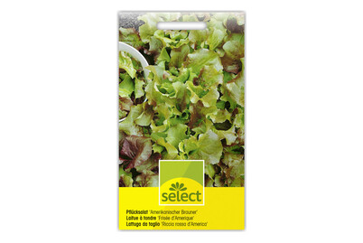 Image of Select Pflücksalat Amerikanischer Brauner bei JUMBO