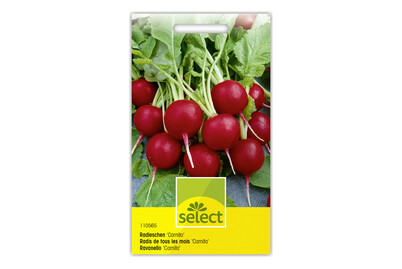 Image of Select Radieschen Carnita bei JUMBO