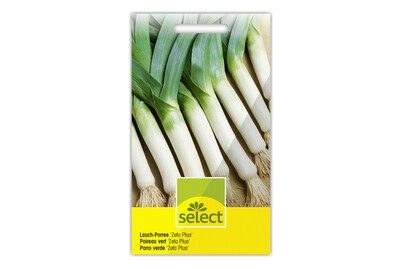 Image of Select Lauch-Poree bei JUMBO