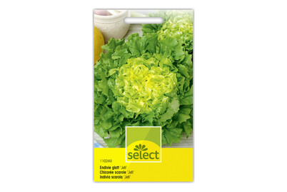 Image of Select Endivie glatt bei JUMBO