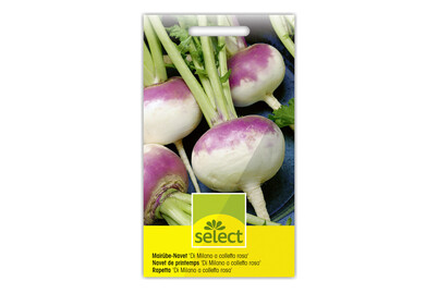 Image of Select Mairübe DI Milano bei JUMBO