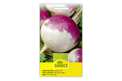 Image of Select Herbst-Steckrübe Zefa bei JUMBO