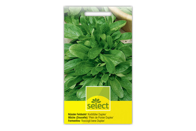 Image of Select Nüssler Feldsalat bei JUMBO