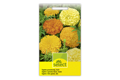 Image of Select Tagetes Erecta