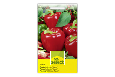 Image of Select Gemüsepaprika bei JUMBO