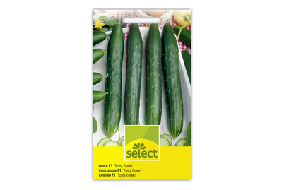 Image of Select Gurke bei JUMBO
