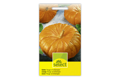 Image of Select Kürbis Rouge VIF D'etampes bei JUMBO