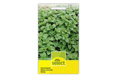 Image of Select Zitronenmelisse bei JUMBO