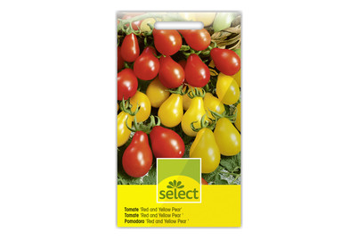Image of Select Cocktailtomate