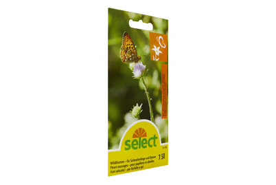 Image of Select Wildblumen