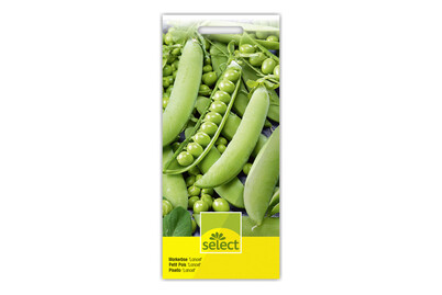 Image of Select Markerbsen Lancet bei JUMBO