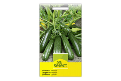 Image of Select Zucchetti bei JUMBO