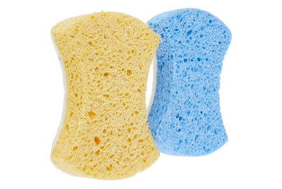 Image of Scheuerschwamm bei JUMBO