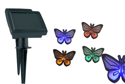 Image of LED-Solarlicht Schmetterling Baza bei JUMBO
