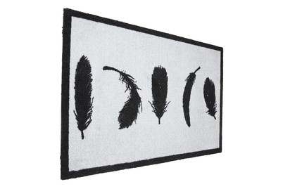 Image of Vorlage Frisee Timo bei JUMBO