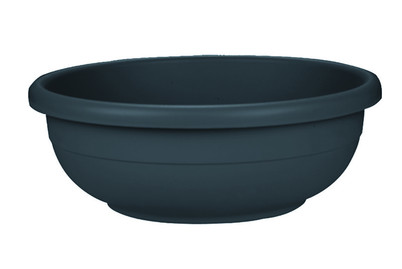 Image of Blumenschale Aurora bei JUMBO