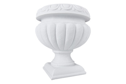 Image of Blumenspindel Egnazia bei JUMBO