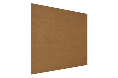 Image of Pinwandplatte 2400 x 15 x 1200 mm bei JUMBO