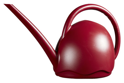 Image of Giesskanne Medusa bei JUMBO