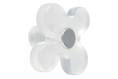 Image of Garderobenknopf Blume klar bei JUMBO