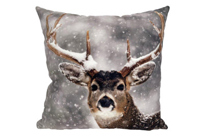 Image of Kissen mit Hirsch Desgin bei JUMBO