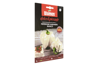 Image of Blumen Paprika Habanero weiss bei JUMBO