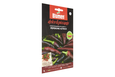 Image of Blumen Paprika Azteco bei JUMBO
