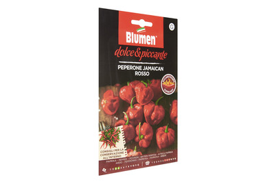 Image of Blumen Paprika Jamaican rot bei JUMBO
