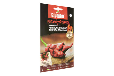 Image of Blumen Paprika Trinidad Scorpion bei JUMBO