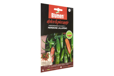 Image of Blumen Paprika Jalapeno bei JUMBO