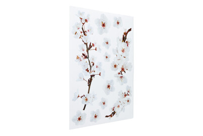 Image of Wallsticker 47X67 CM Photographic Blosso bei JUMBO