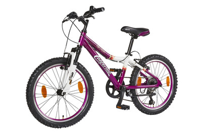 Image of California Kids-Mountainbike Arcadia 20 28 cm bei JUMBO