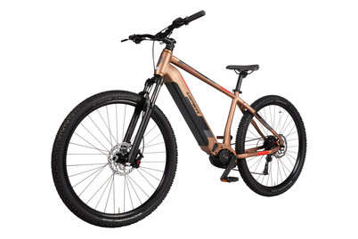 Image of Viper E-Mtb Acotango 2.0 29 50 cm bei JUMBO