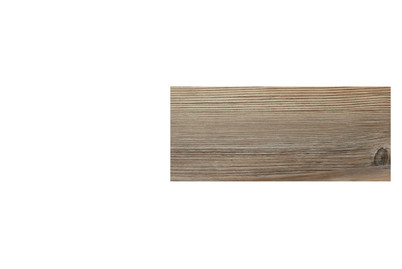 Image of SCQ 5.0 Fichte Porto XL bei JUMBO