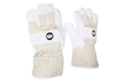 Image of GO ON Handschuhe gefüttert bei JUMBO