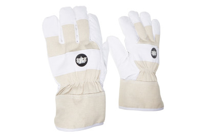 Image of ayce Handschuhe Protect gefüttert bei JUMBO