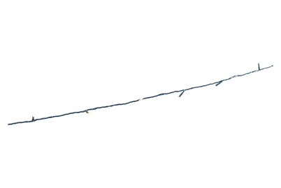 Image of Mood Lichterkette 2400 cm 144 LED bei JUMBO