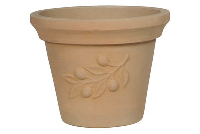 Image of Oliventopf Rund Antonio Choco bei JUMBO