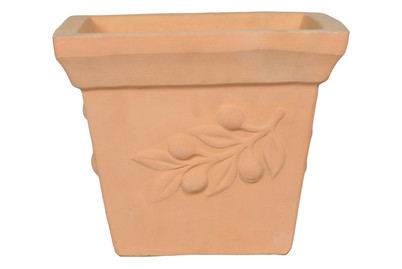 Image of Oliventopf Eckig Antonio Terra bei JUMBO